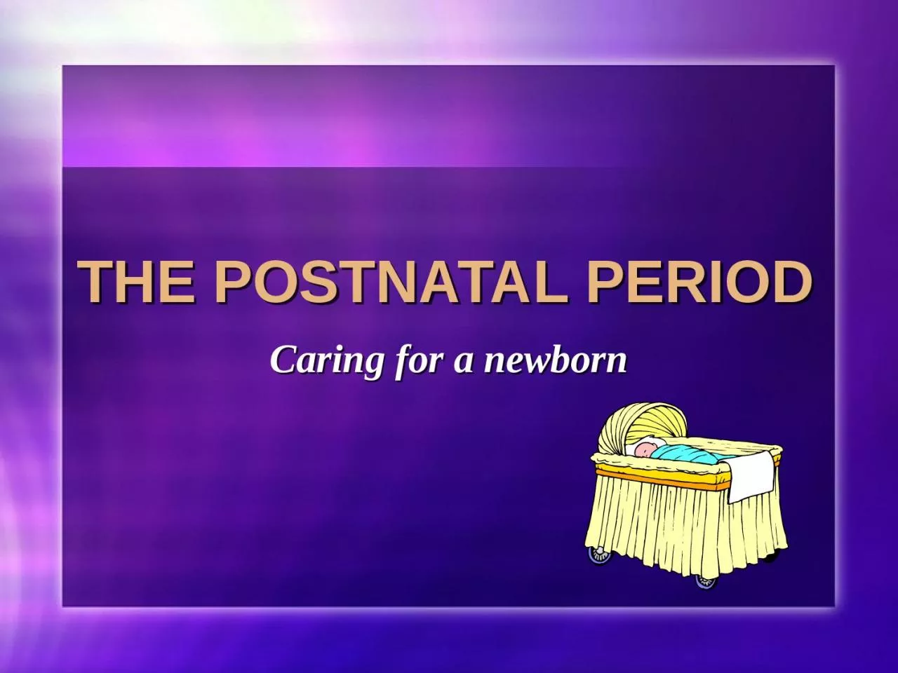 PPT-The Postnatal Period Caring for a newborn