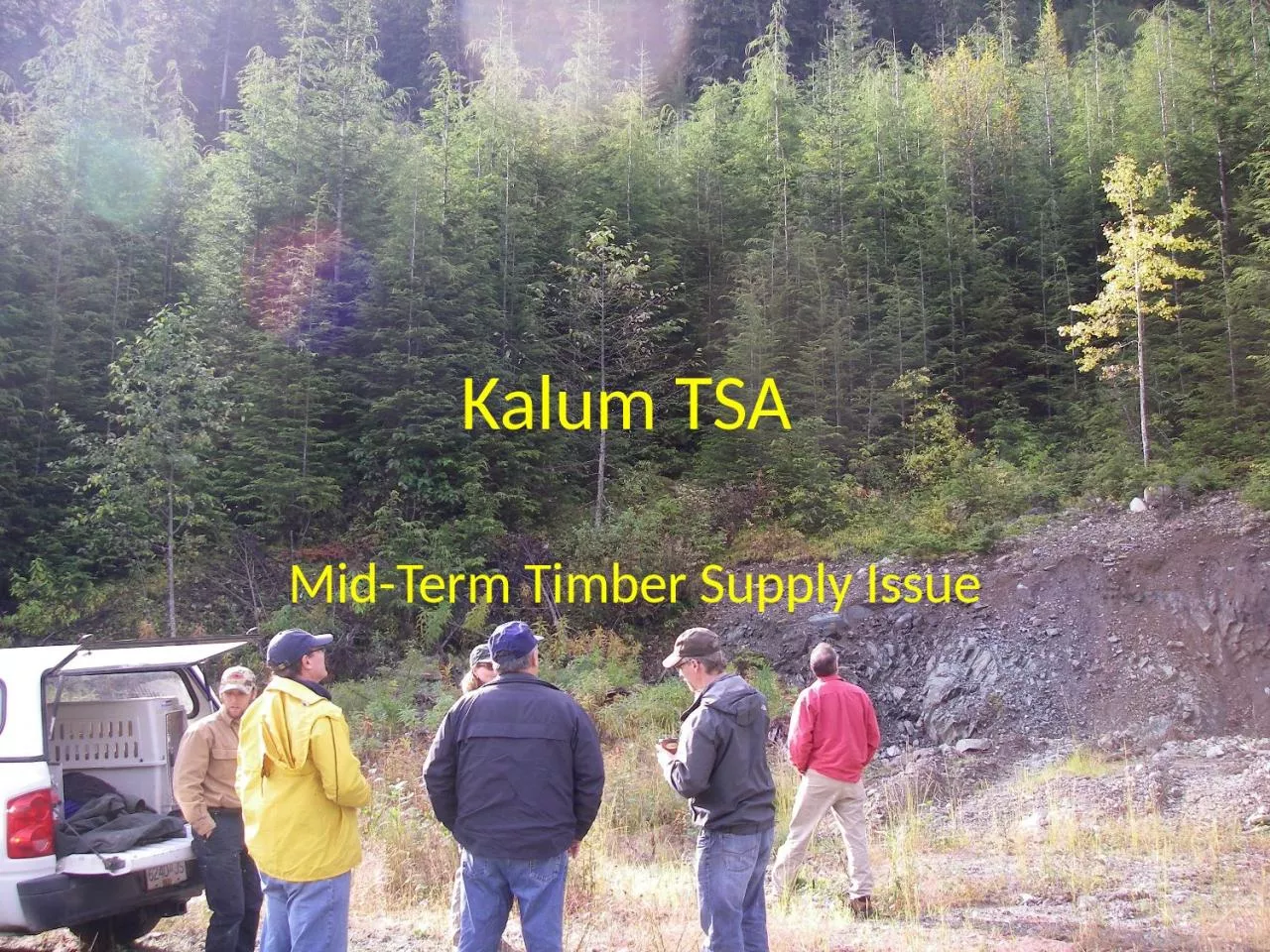 PPT-Kalum TSA Mid-Term Timber Supply Issue