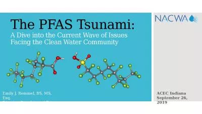 The PFAS Tsunami: A Dive into the Current Wave of Issues Facing the Clean Water Community