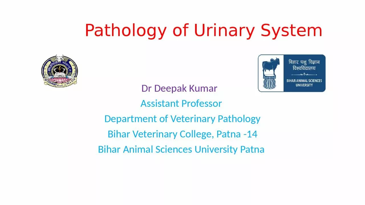 PPT-Pathology of Urinary System