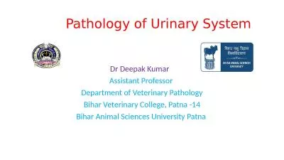 Pathology of Urinary System