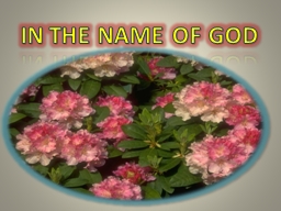 In the name of god Preterm Birth