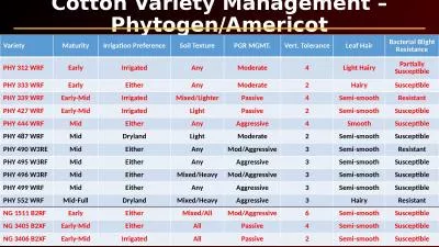 Cotton Variety Management – Phytogen/Americot