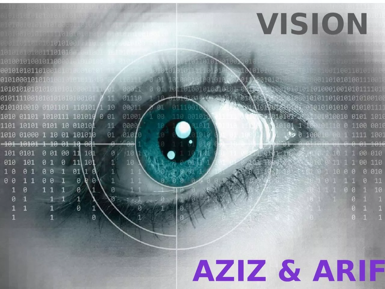 PPT-VISION Aziz & Arif Law of Specific Nerve Energies