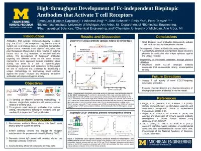 High-throughput Development of Fc-independent Biepitopic Antibodies that Activate T cell