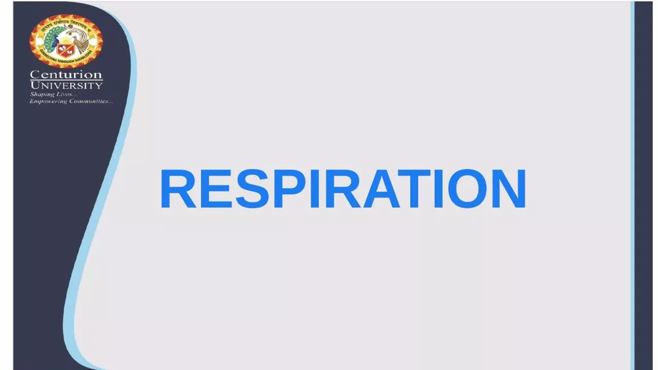 PPT-RESPIRATION RESPIRATION Primary purpose