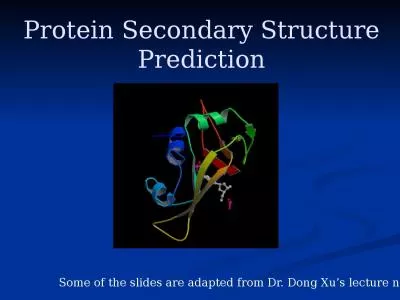 Protein Secondary Structure Prediction