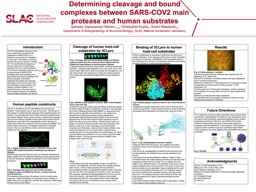 Determining cleavage and bound complexes between SARS-COV2 main protease and human subs