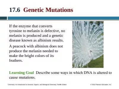17.6   Genetic Mutations