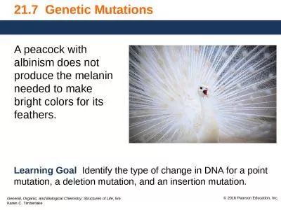 21.7  Genetic Mutations A peacock with albinism does not produce the melanin needed to make bright