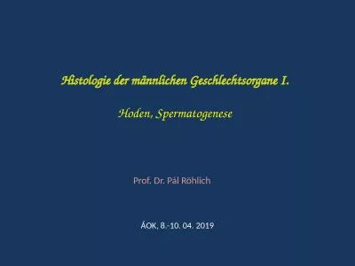 Histologie  der  männlichen