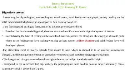 Insect Structures Lect. 9-Grade 2-Dr.