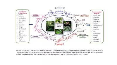 Parusu Kavya Teja.; Prachi Patel.; Drashti Bhavsar.; Chintakindi Bindusri.; Kishori Jadhav.; Siddhe