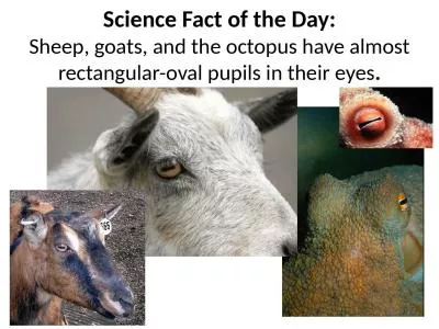 Science Fact of the Day: