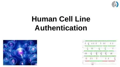 Human Cell Line Authentication