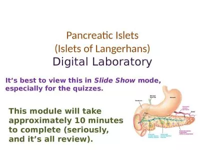 Pancreatic Islets (Islets of Langerhans)