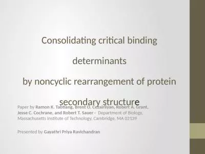 Paper by  Ramon K.  Tabtiang