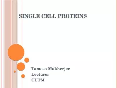 Single Cell Proteins Tamosa