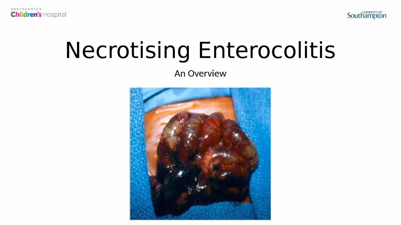 PPT-Necrotising Enterocolitis