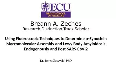 Breann A. Zeches Research Distinction Track Scholar