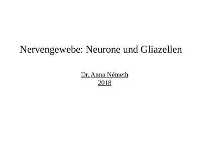 Nervengewebe :  Neurone  und