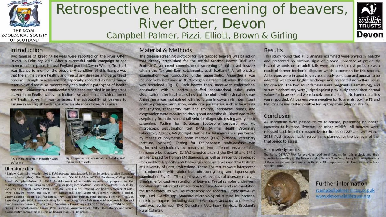 PPT-Retrospective health screening of beavers, River Otter, Devon