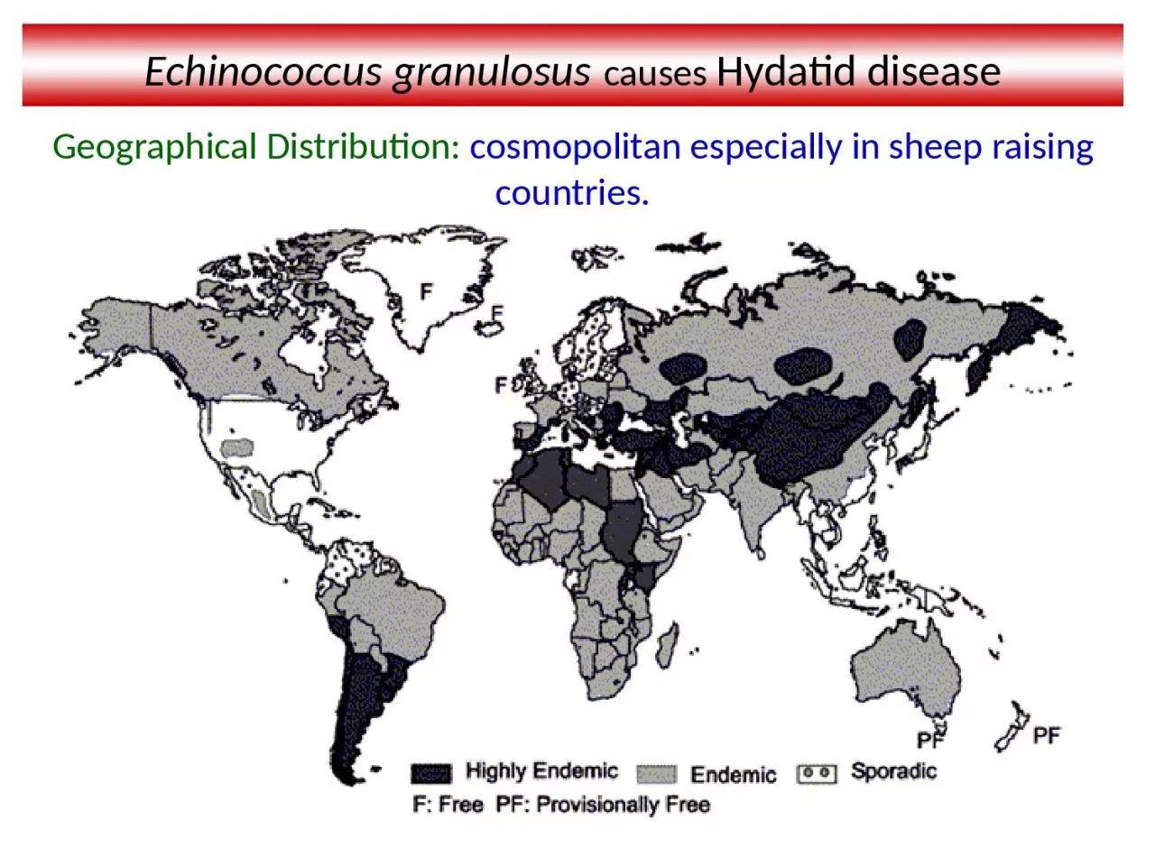 PPT-Echinococcus granulosus