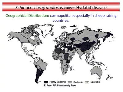 Echinococcus granulosus