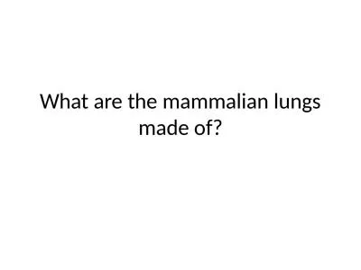 What are the  mammalian lungs made of?