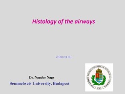 Histology  of  the   airways