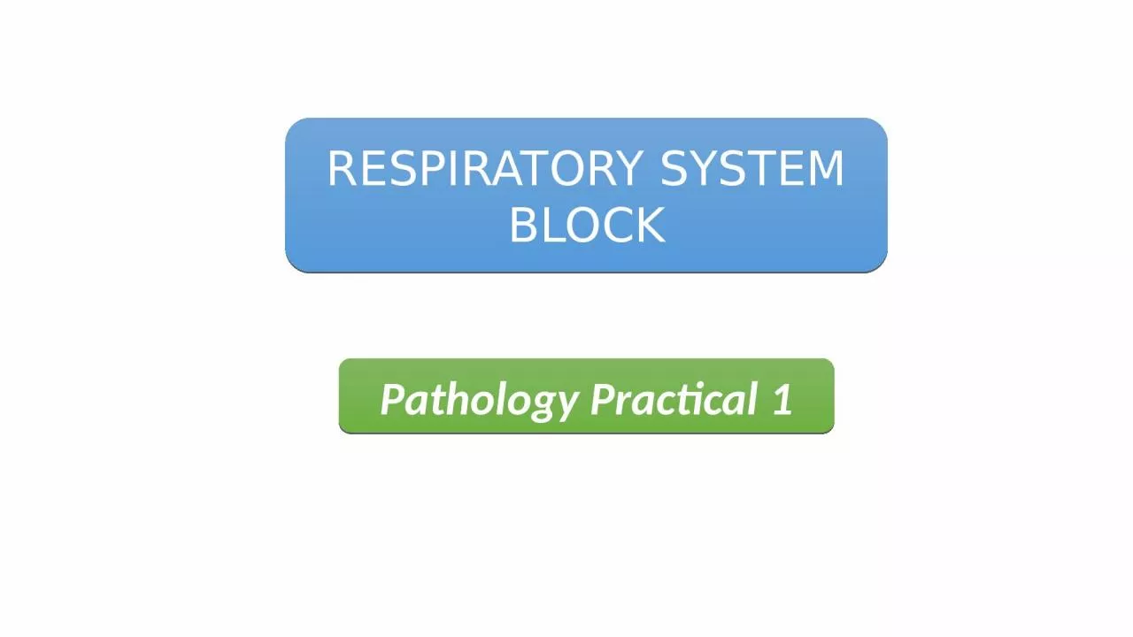 PPT-Pathology Practical 1 RESPIRATORY SYSTEM