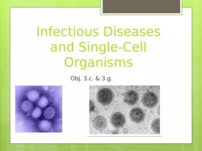 Infectious Diseases and Single-Cell Organisms