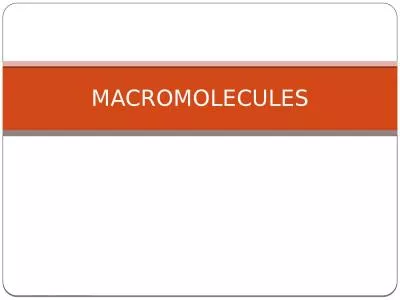 MACROMOLECULES Metabolic Processes