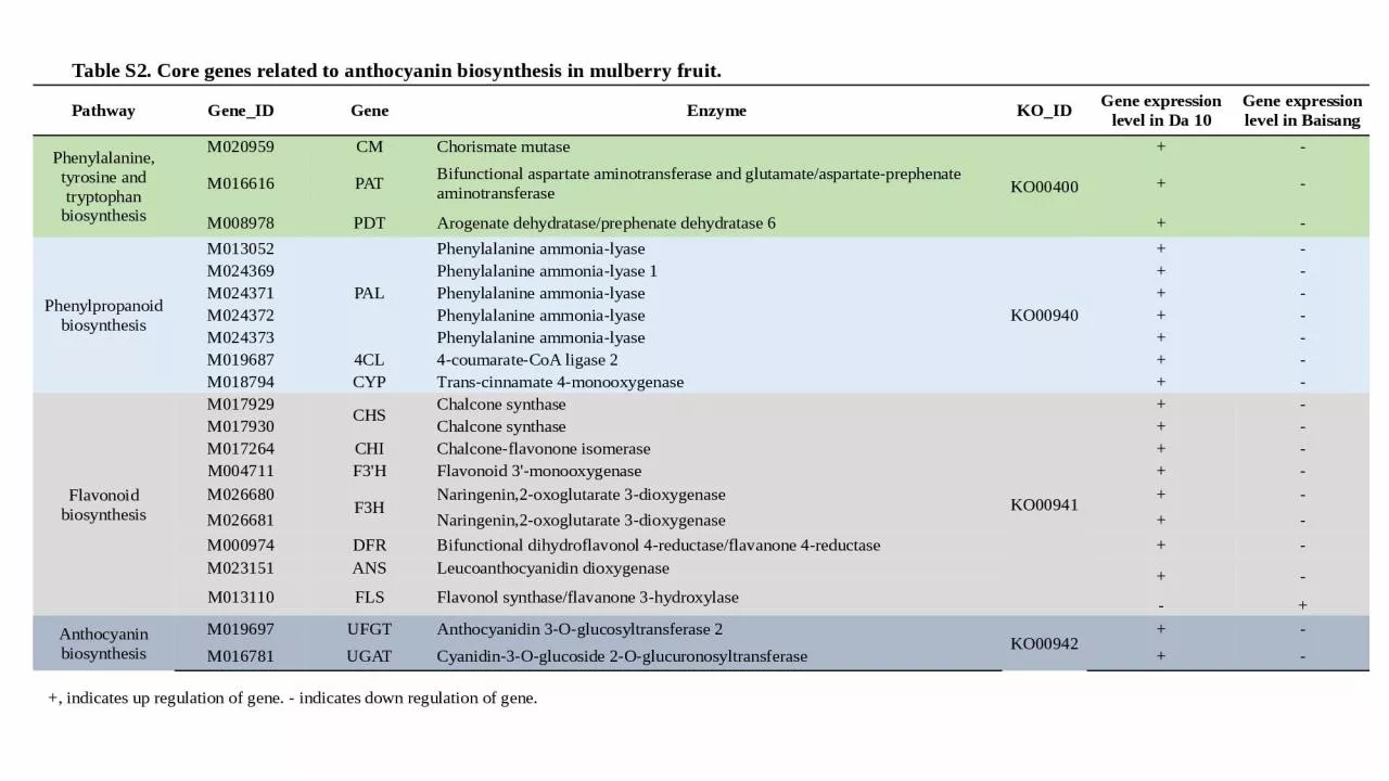 Table S2. Core genes related to anthocyanin biosynthesis in mulberry fruit.