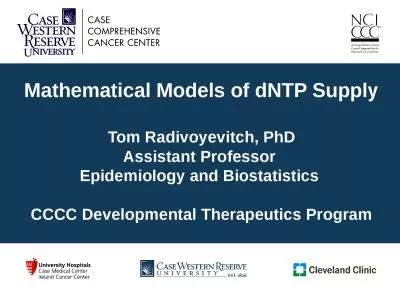 Mathematical Models of dNTP Supply