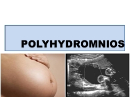 POLYHYDROMNIOS DEFINITION