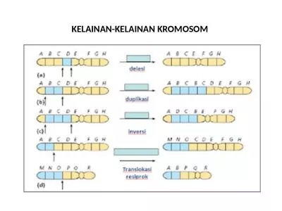 KELAINAN-KELAINAN KROMOSOM