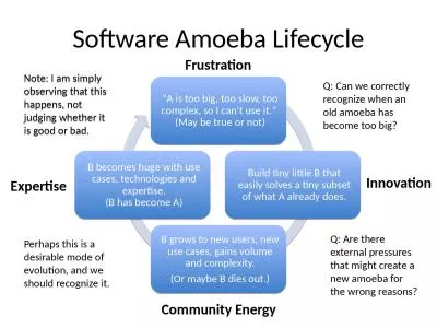 Software Amoeba Lifecycle