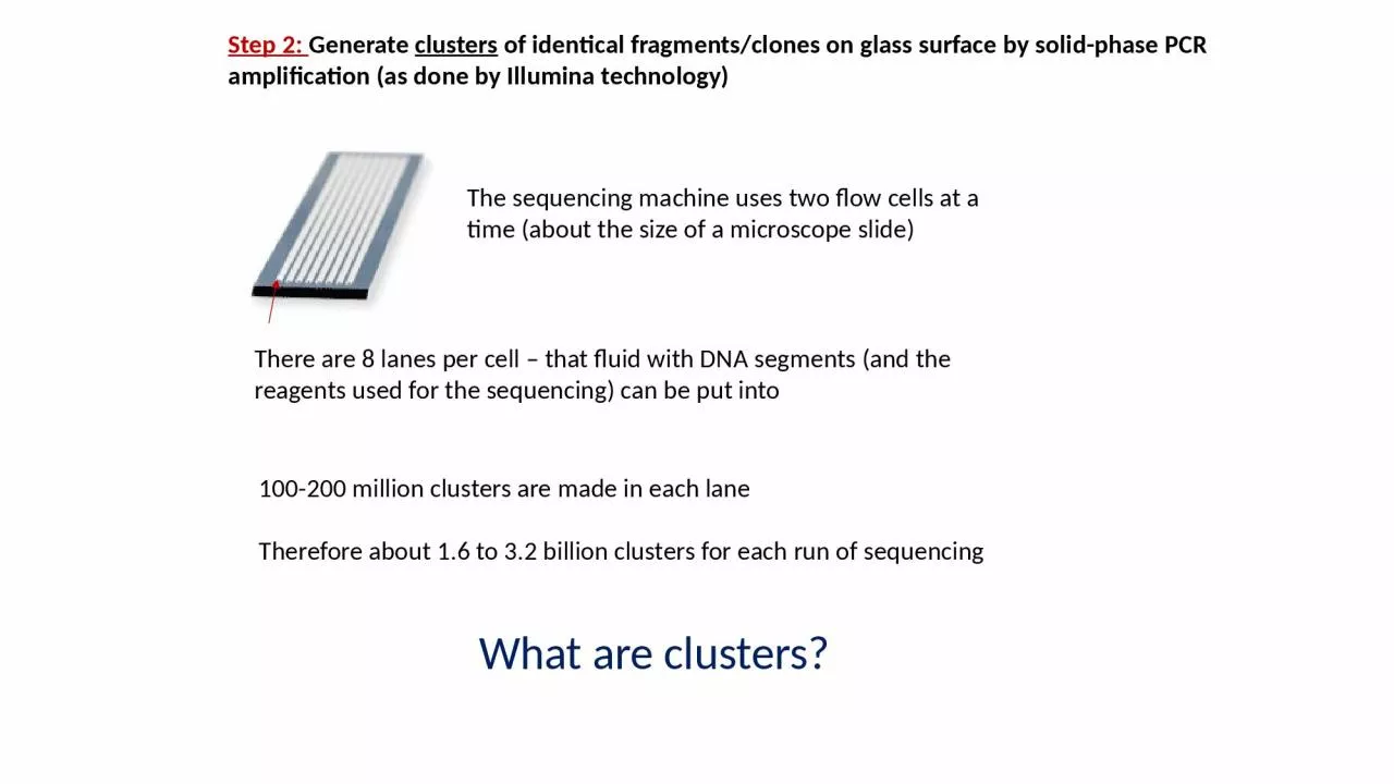 PPT-Step 2: Generate clusters