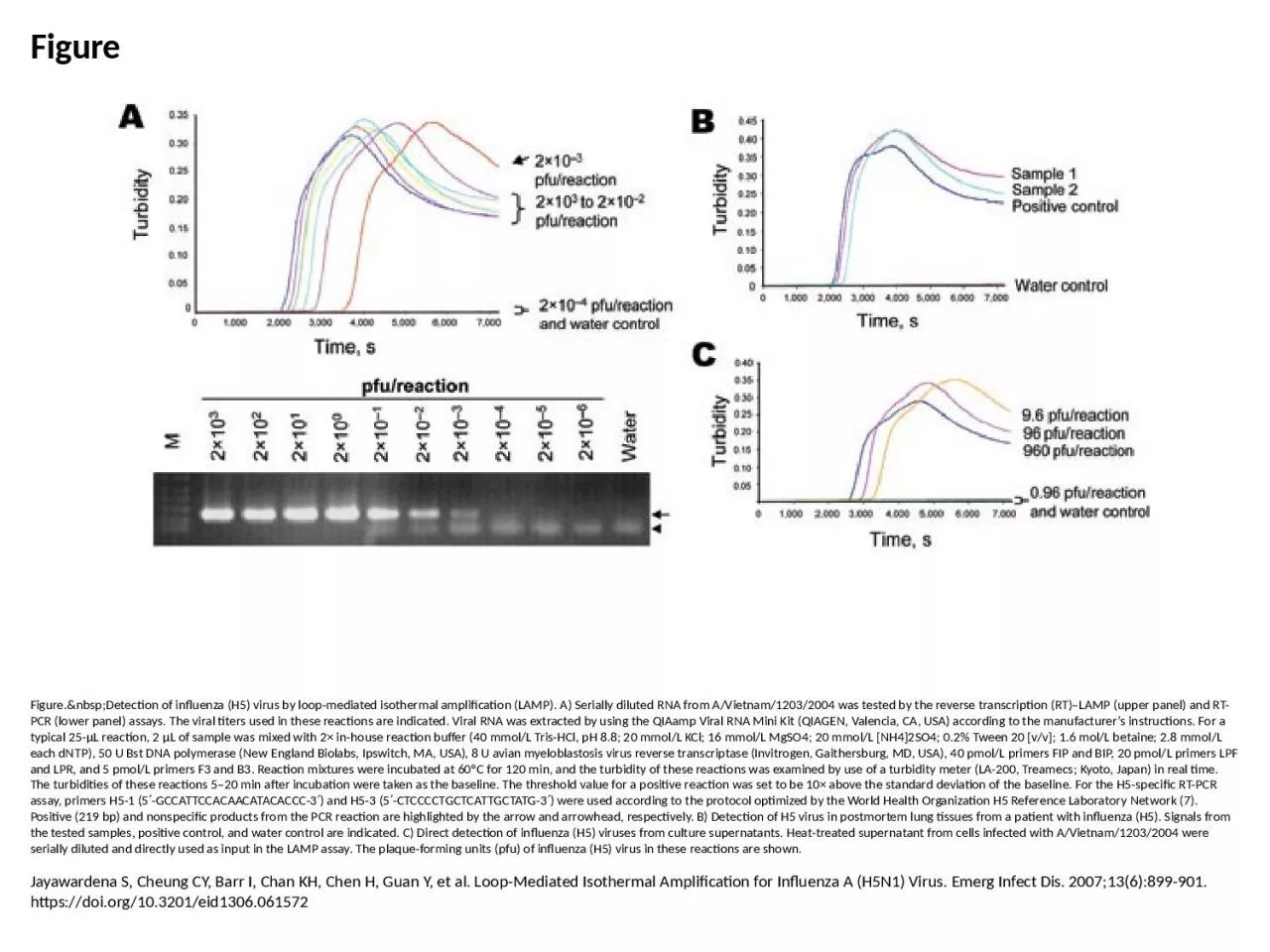 PPT-Figure Figure.&nbsp;Detection of influenza (H5) virus by loop-mediated isothermal