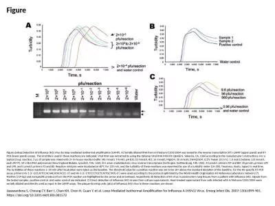 Figure Figure.&nbsp;Detection of influenza (H5) virus by loop-mediated isothermal amplification