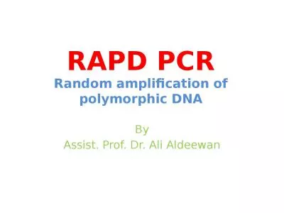 RAPD PCR Random amplification of polymorphic DNA