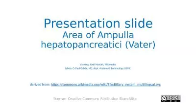 Presentation slide Area of Ampulla hepatopancreatici (Vater)