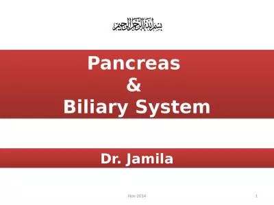 1 Nov-2014 Pancreas  &