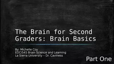 The Brain for Second Graders: Brain Basics