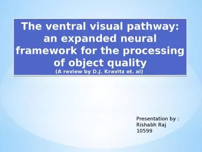 The ventral visual pathway: an expanded neural framework for the processing of object quality