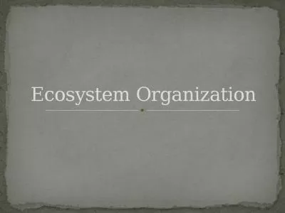 Ecosystem Organization The branch of biology studying the relationships and interactions