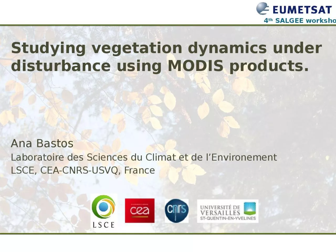 PPT-Studying vegetation dynamics under disturbance using MODIS