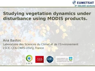 Studying vegetation dynamics under disturbance using MODIS