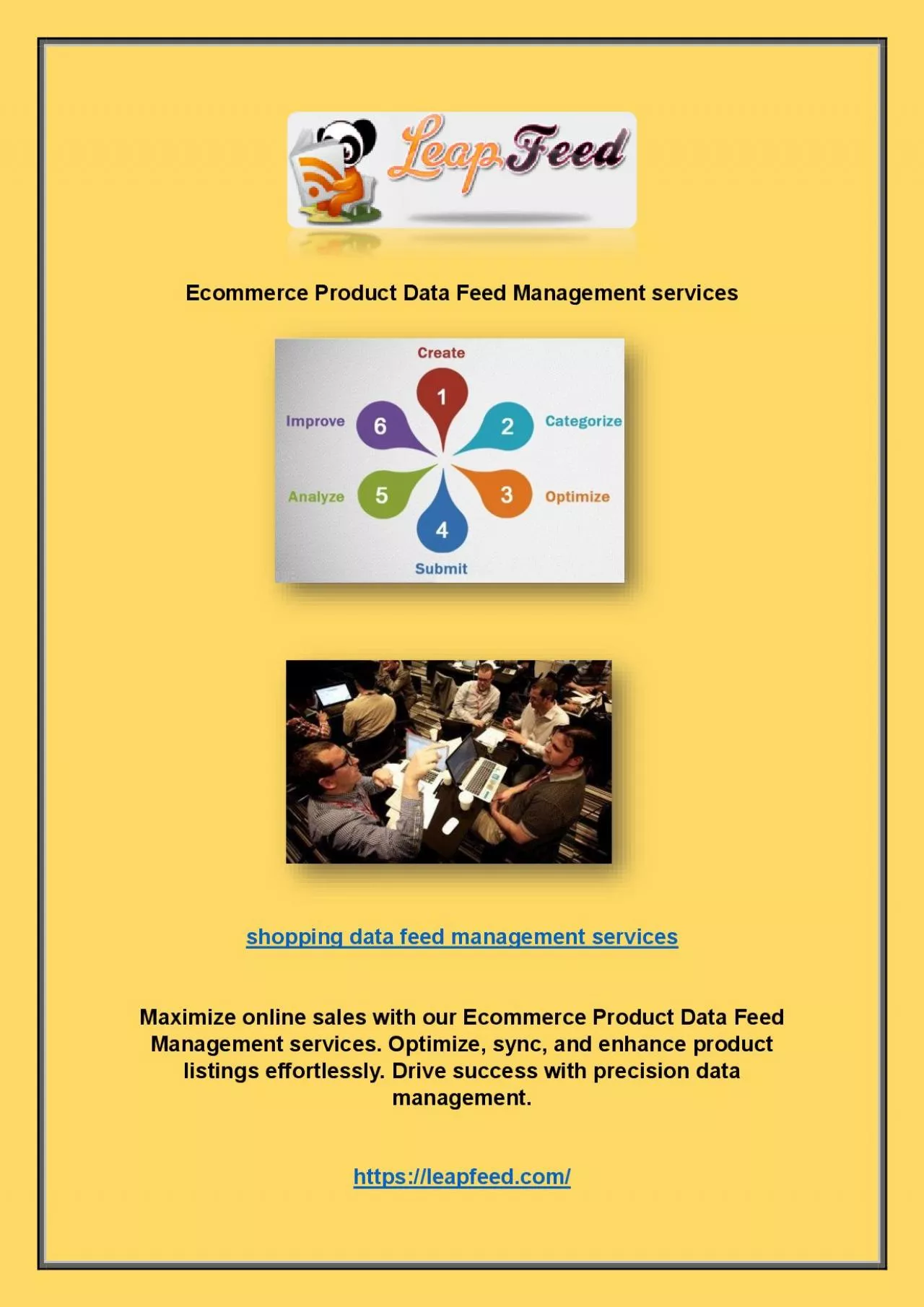 PDF-Ecommerce Product Data Feed Management services